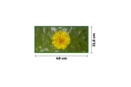 Sklo rozptylové 48 × 31,8 cm