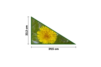 Sklo rozptylové (pravé) 39,5 × 22,2 cm