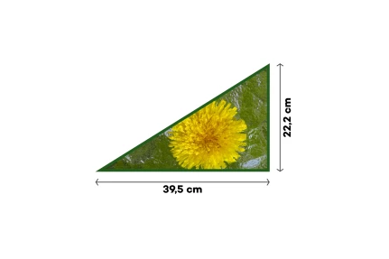 Sklo rozptylové (levé) 39,5 × 22,2 cm