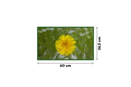 Sklo rozptylové 60 × 36,5 cm