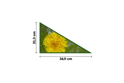 Sklo rozptylové (pravé) 36,9 × 21,3 cm